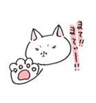 白猫ルネくん（個別スタンプ：7）