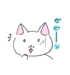 白猫ルネくん（個別スタンプ：11）