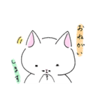 白猫ルネくん（個別スタンプ：23）