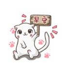 New-Scottish Fold-White Rabbit2（個別スタンプ：1）