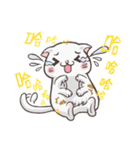 New-Scottish Fold-White Rabbit2（個別スタンプ：3）