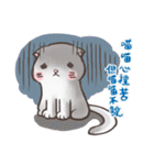 New-Scottish Fold-White Rabbit2（個別スタンプ：4）