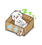 New-Scottish Fold-White Rabbit2（個別スタンプ：6）