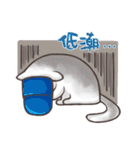 New-Scottish Fold-White Rabbit2（個別スタンプ：11）