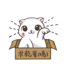 New-Scottish Fold-White Rabbit2（個別スタンプ：14）