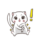 New-Scottish Fold-White Rabbit2（個別スタンプ：17）