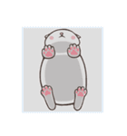 New-Scottish Fold-White Rabbit2（個別スタンプ：18）