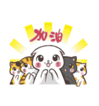 New-Scottish Fold-White Rabbit2（個別スタンプ：22）