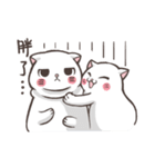 New-Scottish Fold-White Rabbit2（個別スタンプ：23）
