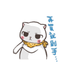 New-Scottish Fold-White Rabbit2（個別スタンプ：29）
