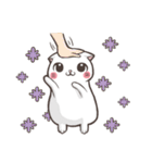 New-Scottish Fold-White Rabbit2（個別スタンプ：31）