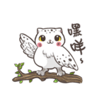 New-Scottish Fold-White Rabbit2（個別スタンプ：32）