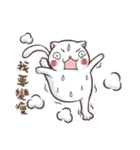 New-Scottish Fold-White Rabbit2（個別スタンプ：36）