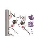New-Scottish Fold-White Rabbit2（個別スタンプ：40）