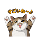 ねこぢるし2 お仕事それぞれ（個別スタンプ：3）