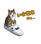 ねこぢるし2 お仕事それぞれ（個別スタンプ：7）