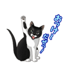 ねこぢるし2 お仕事それぞれ（個別スタンプ：10）