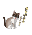 ねこぢるし2 お仕事それぞれ（個別スタンプ：13）