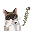 ねこぢるし2 お仕事それぞれ（個別スタンプ：17）