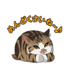 ねこぢるし2 お仕事それぞれ（個別スタンプ：19）