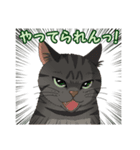 ねこぢるし2 お仕事それぞれ（個別スタンプ：20）