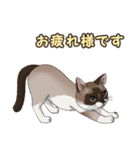 ねこぢるし2 お仕事それぞれ（個別スタンプ：21）