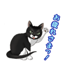 ねこぢるし2 お仕事それぞれ（個別スタンプ：22）