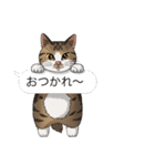 ねこぢるし2 お仕事それぞれ（個別スタンプ：23）