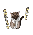 ねこぢるし2 お仕事それぞれ（個別スタンプ：29）