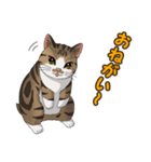 ねこぢるし2 お仕事それぞれ（個別スタンプ：31）