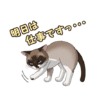 ねこぢるし2 お仕事それぞれ（個別スタンプ：37）