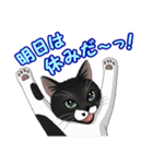 ねこぢるし2 お仕事それぞれ（個別スタンプ：38）