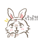 Sana（個別スタンプ：1）