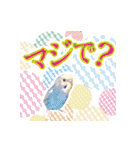 インコ100%（個別スタンプ：19）