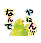 インコ100%（個別スタンプ：23）