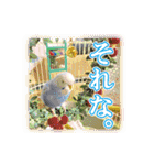 インコ100%（個別スタンプ：32）