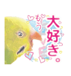 インコ100%（個別スタンプ：38）