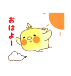 しかくいオカメインコ（個別スタンプ：1）