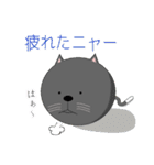 まんまるネコくぅちゃんの1日（個別スタンプ：24）