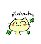 三河弁を喋るYUKA猫（個別スタンプ：34）