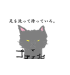 黒猫とラグドールと、時々飼い主（個別スタンプ：1）