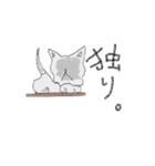 黒猫とラグドールと、時々飼い主（個別スタンプ：15）