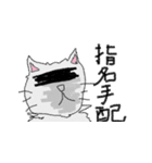 黒猫とラグドールと、時々飼い主（個別スタンプ：19）