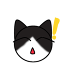 my baby cat（個別スタンプ：4）