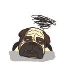 Warning security dog~bulldog Part. 2（個別スタンプ：21）