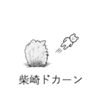 柴崎さんの名字スタンプ真顔（個別スタンプ：29）