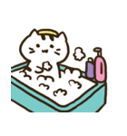 xiao pang meow（個別スタンプ：12）