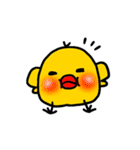 ひよこシリーズ（個別スタンプ：36）