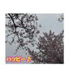 桜の写真に春に使えそうな言葉（個別スタンプ：3）
