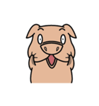 MoMo Pig（個別スタンプ：5）